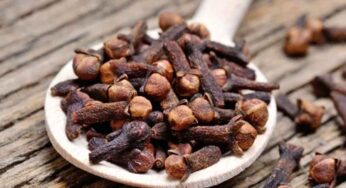 శనివారం ఇంట్లో బూజు దులిపి.. లక్ష్మీదేవికి లవంగం సమర్పిస్తే ?