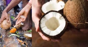 Coconut Breaking Before God : దేవుడి ద‌గ్గ‌ర అస‌లు కొబ్బ‌రికాయ‌ల‌ను ఎందుకు కొడ‌తారు.. దీని వెనుక ఉన్న కార‌ణమేమిటి..?