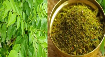 Curry leaves powder benefits : కరివేపాకు పొడితో ఎన్నిలాభాలో తెలుసా..!