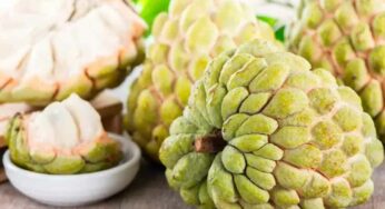 Custard Apple Benefits : సీతాఫ‌లాల‌ను రోజూ తినాల్సిందే.. ఎందుకో తెలిస్తే.. ఇప్పుడే ఆ ప‌నిచేస్తారు..!