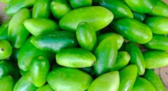 Dondakayalu Health Benefits : దొండ‌కాయ‌ల‌ను తింటే ఇన్ని లాభాలు ఉన్నాయా.. తెలుసుకోక‌పోతే న‌ష్ట‌పోతారు..!