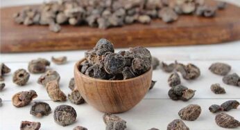 Dry Amla : రోజూ మ‌ధ్యాహ్నం భోజనం చేసిన తర్వాత ఇవి 2 నోట్లో వేసుకుంటే అన్ని రోగాలు మాయం..!