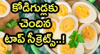 Eggs : రోజూ కోడిగుడ్ల‌ను తింటే ఏమ‌వుతుందో తెలుసా.. ఎవ‌రూ చెప్పని టాప్ సీక్రెట్స్‌..!