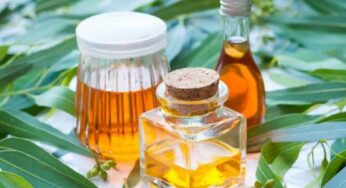 Eucalyptus Oil : ఈ ఆయిల్‌తో ఎన్ని లాభాలు క‌లుగుతాయో తెలుసా..? చెబితే న‌మ్మ‌లేరు..!