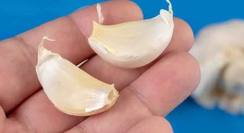 Garlic Cloves : కేవ‌లం 4 వెల్లుల్లి చాలు.. ఎముక‌లు ఉక్కులా మారుతాయి..!