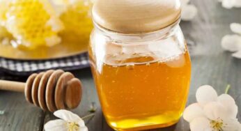 Honey : స్వ‌చ్ఛ‌మైన అడ‌వి తేనెను ఎలా గుర్తించాలో తెలుసా ?