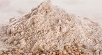 Jowar Flour : ఈ పిండి గురించి తెలుసా..? ఇందులో దాగి ఉన్న ర‌హ‌స్యాలు ఇవే..!