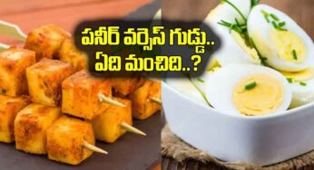 Paneer Vs Egg : పన్నీర్, గుడ్డు రెండింట్లో ఏది మంచిది..? బ‌రువు త‌గ్గేందుకు ఏది ఉప‌యోగ‌ప‌డుతుంది..?