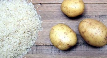 Potato And Rice : ఆలుగ‌డ్డ‌లు, అన్నం తింటే షుగ‌ర్ పెరగ‌దు.. ఎలాగో తెలుసా..?