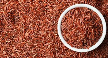 Red Rice : రెడ్ రైస్‌ను తింటే ఎన్ని అద్భుత‌మైన లాభాలు క‌లుగుతాయో తెలుసా..?