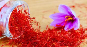 Saffron Benefits : కుంకుమ పువ్వును రోజూ తీసుకుంటే ఏం జ‌రుగుతుందో తెలుసా..?