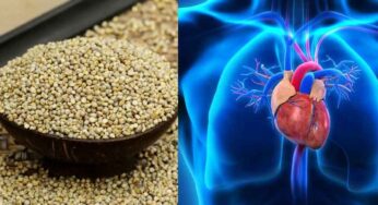 Sajjalu Health Benefits : వీటిని రోజూ గుప్పెడు తీసుకుంటే చాలు.. గుండె ర‌క్త‌నాళాలు క్లీన్ అవుతాయి, బీపీ త‌గ్గుతుంది..!