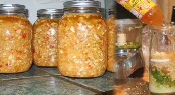 Immune Boosting Tonique : ఇంట్లో తయారు చేసిన ఈ టానిక్ ని రోజుకి 5 స్పూన్లు తాగితే చాలు.. ఏ రోగం మీ దరిచేరదు..