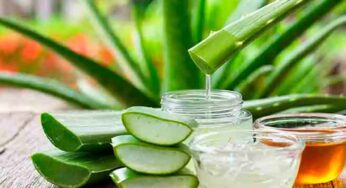 Aloe Vera : రోజూ ఒక టీస్పూన్ చాలు.. ఎన్నో వ్యాధులు న‌యం అవుతాయి..!