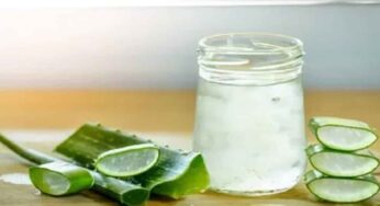 పరగడుపున కలబంద గుజ్జు తింటున్నారా.. ప్రమాదంలో పడినట్టే..