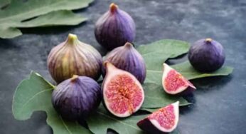 Figs : అంజీర్ పండ్ల‌ను రోజూ తప్పక తినాలి..!