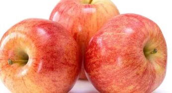 Apple : యాపిల్‌ను ఉద‌యం పూటే తినాలి.. ఎందుకో తెలుసా..?