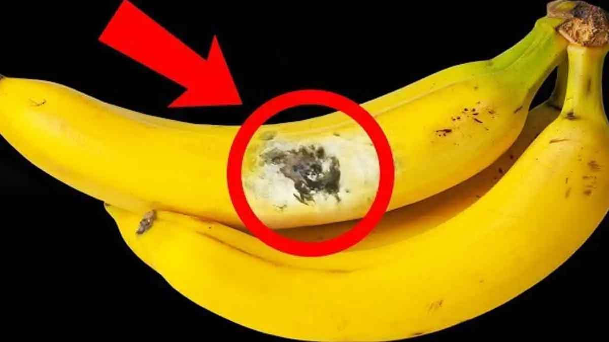 do not make any mistakes while buying banana 
