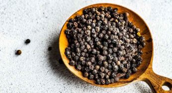 Black Pepper : మీరు రోజూ తినే ఆహారంపై మిరియాల పొడి చ‌ల్లి తింటే ఏమ‌వుతుందో తెలుసా..?