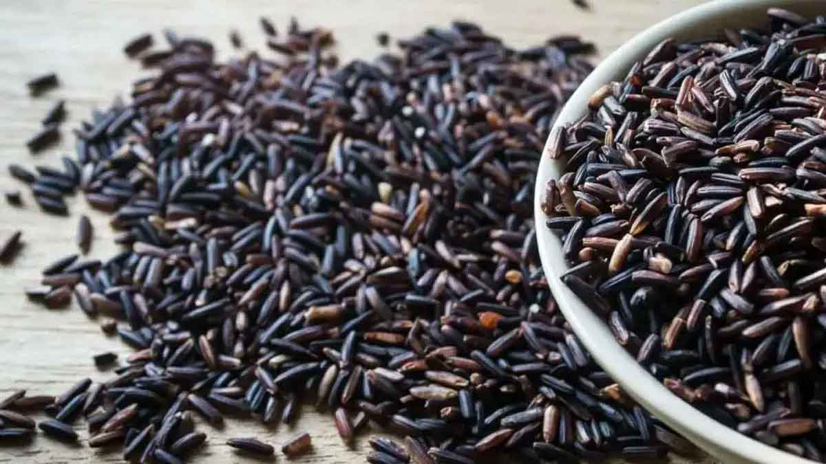black rice many wonderful health benefits 