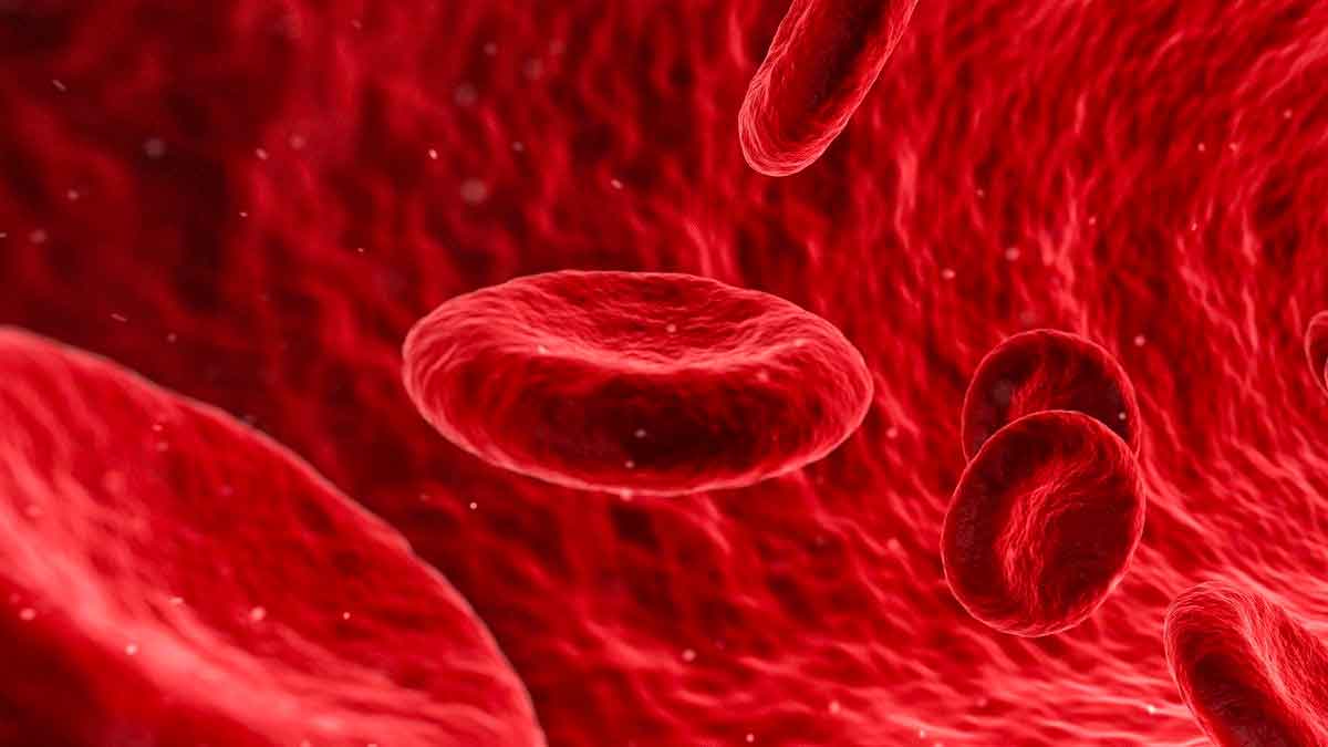 Foods For Heart Health take these for blood thinning 