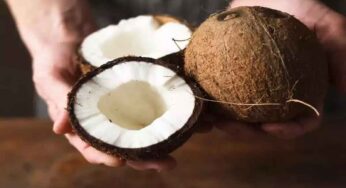 Coconut Offering To God : పూజ చేసిన‌ప్పుడు కొబ్బ‌రికాయ‌నే ఎందుకు కొడ‌తారు ?