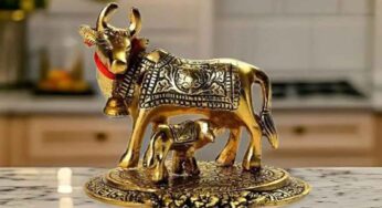 Vastu Items : మీ ఇంట్లో ఈ వ‌స్తువుల‌ను పెట్టుకోండి.. ఇల్లు ఎప్పుడూ ధ‌నంతో క‌ళ‌క‌ళ‌లాడుతుంది..!