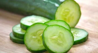 Cucumber In Winter Season : ఈ సీజ‌న్‌లో కీర‌దోస‌ను త‌ప్ప‌కుండా తినాల్సిందే.. ఏం జ‌రుగుతుందో తెలుసా..?