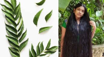 Curry Leaves For Hair Growth : క‌రివేపాకుల‌తో జుట్టు బాగా రాలుతుందా.. ఇలా చేస్తే అస్స‌లు రాల‌దు..!