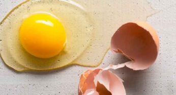 Egg Yolk : గుడ్డు పచ్చసొన తినాలా వద్దా..? డైటీషియన్ సలహా..!