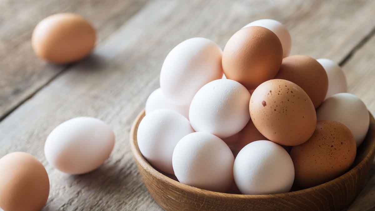 are eggs veg or non veg foods 