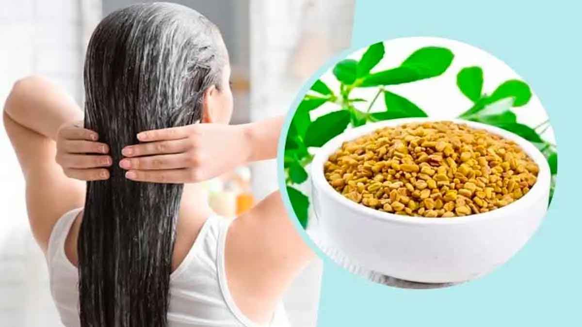 fenugreek seeds for hair use them in this way