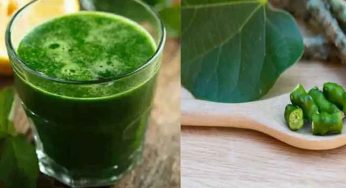 Giloy Juice : తిప్పతీగతో బోలెడు ప్రయోజనాలు.. బరువుని, షుగర్ ను ఇట్టే తగ్గించేస్తుంది..!