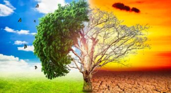 ఈ 6 విషయాలని మనం నిజమని నమ్ముతాము. కానీ అవి అపోహలు తెలుసా..? ఇన్ని రోజులు ఎలా నమ్మామో?