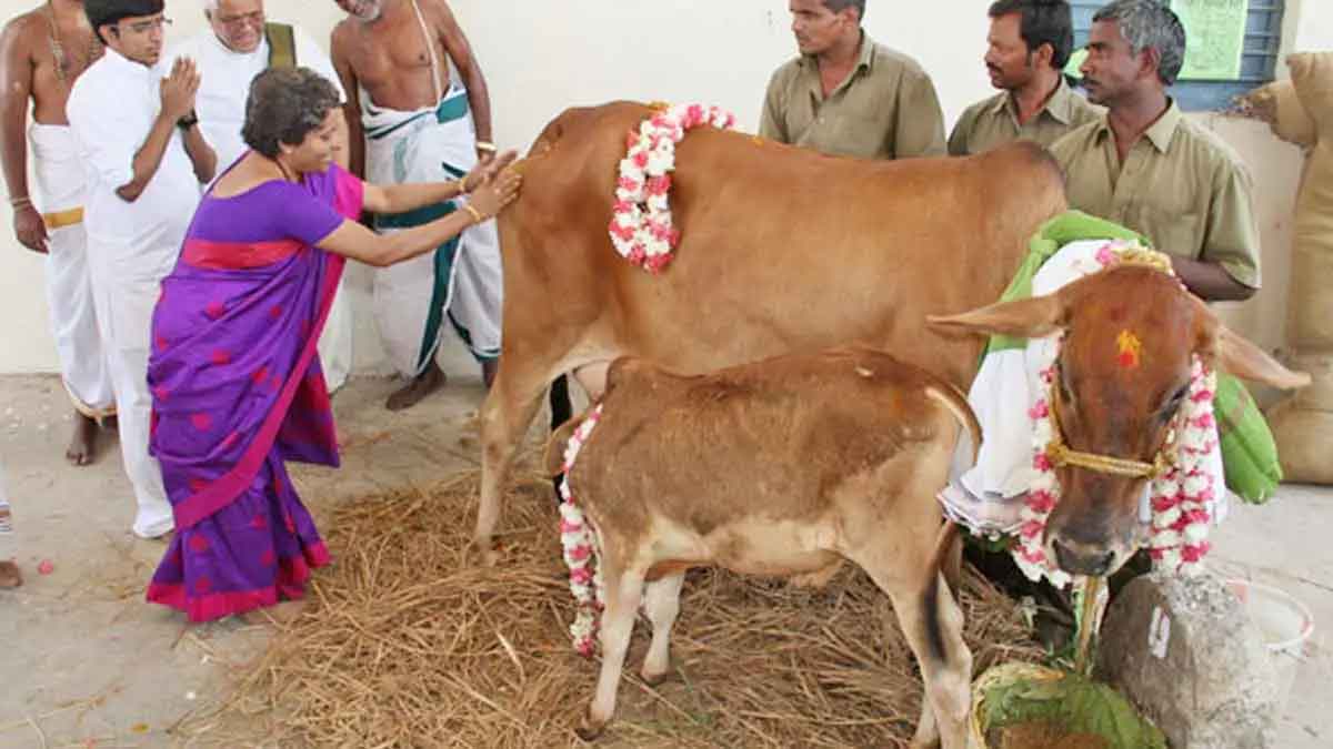 what are the benefits of godanam