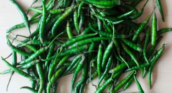 మ‌ద్యం సేవించారా.. ఏం ఫ‌ర్లేదు.. ప‌చ్చిమిర్చి తినండి.. లివ‌ర్ డ్యామేజ్ కాకుండా ఉంటుంది..!