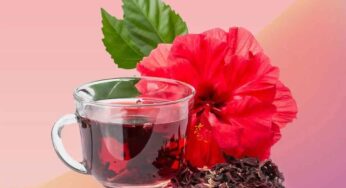 Hibiscus Tea : మందార పువ్వుల టీని రోజూ తాగితే.. చెప్ప‌లేన‌న్ని లాభాలు క‌లుగుతాయి..!