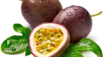 Krishna Phalam : ఈ పండు గురించి తెలుసా.. దీన్ని తింటే ఎన్ని ప్ర‌యోజ‌నాలు క‌లుగుతాయంటే..?