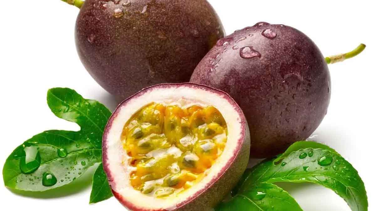 krishna phalam wonderful health benefits 