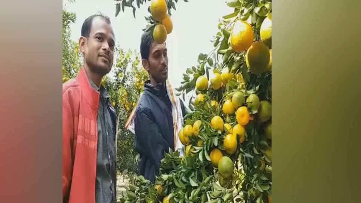 these two are selling oranges and earning in crores 