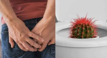 Piles Home Remedies : పైల్స్ ఇబ్బందుల‌కు గురి చేస్తున్నాయా.. అయితే ఈ చిట్కాల‌ను పాటించండి చాలు..!