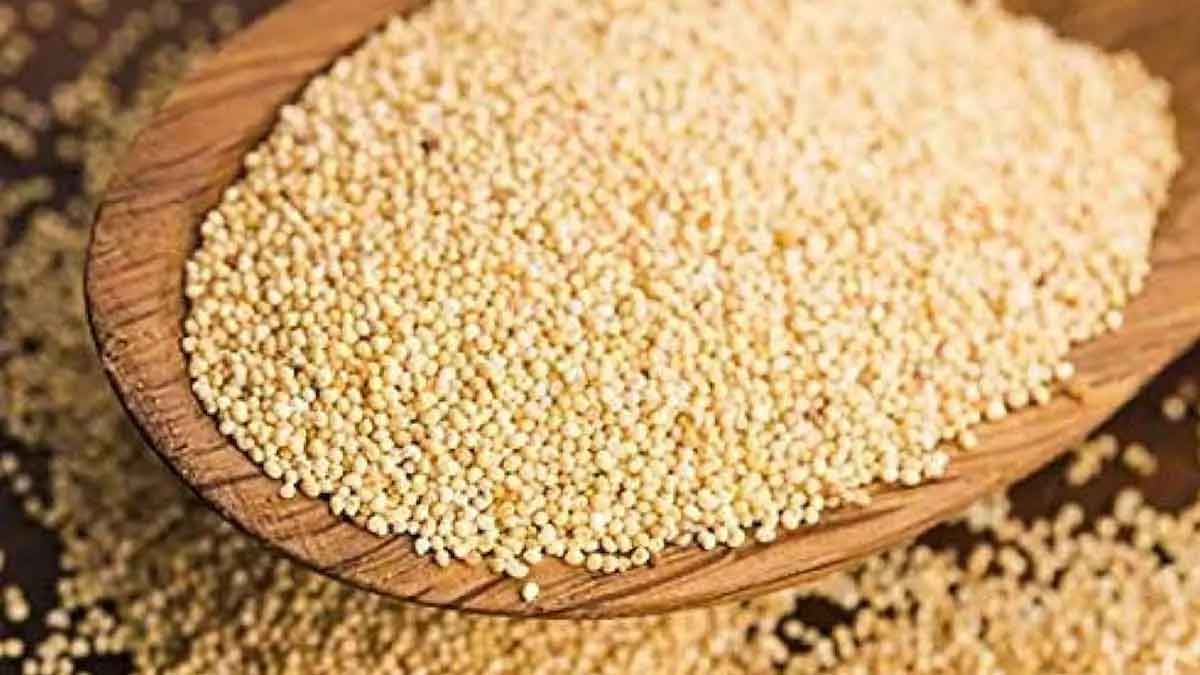 poppy seeds many wonderful health benefits 
