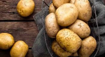 Potatoes : ఆలుగ‌డ్డ‌ల‌ను ఎక్కువ‌గా తింటున్నారా.. అయితే జాగ్ర‌త్త‌.. ఏం జ‌రుగుతుందో తెలుసా..?