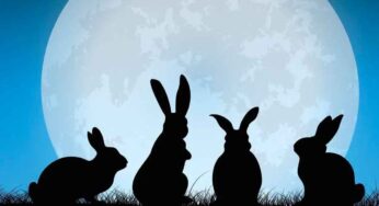 Rabbit On Moon : చంద్రుని మీద కుందేలు నివాసం ఉంటుందా..? ఇది నిజ‌మేనా..?