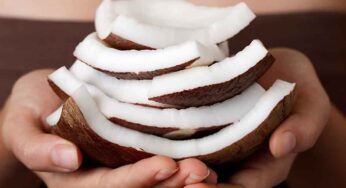 Raw Coconut : ప‌చ్చి కొబ్బ‌రిని తిన‌డం వ‌ల్ల ఎన్ని అద్భుత‌మైన ప్ర‌యోజ‌నాలు క‌లుగుతాయో తెలుసా..?