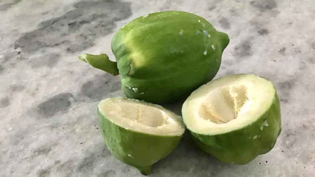 you can also take raw papaya what are its benefits 