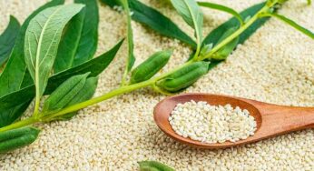 Sesame Seeds : నువ్వుల వ‌ల్ల ఇన్ని లాభాలు ఉన్నాయా.. తెలిస్తే అస‌లు విడిచిపెట్ట‌రు..