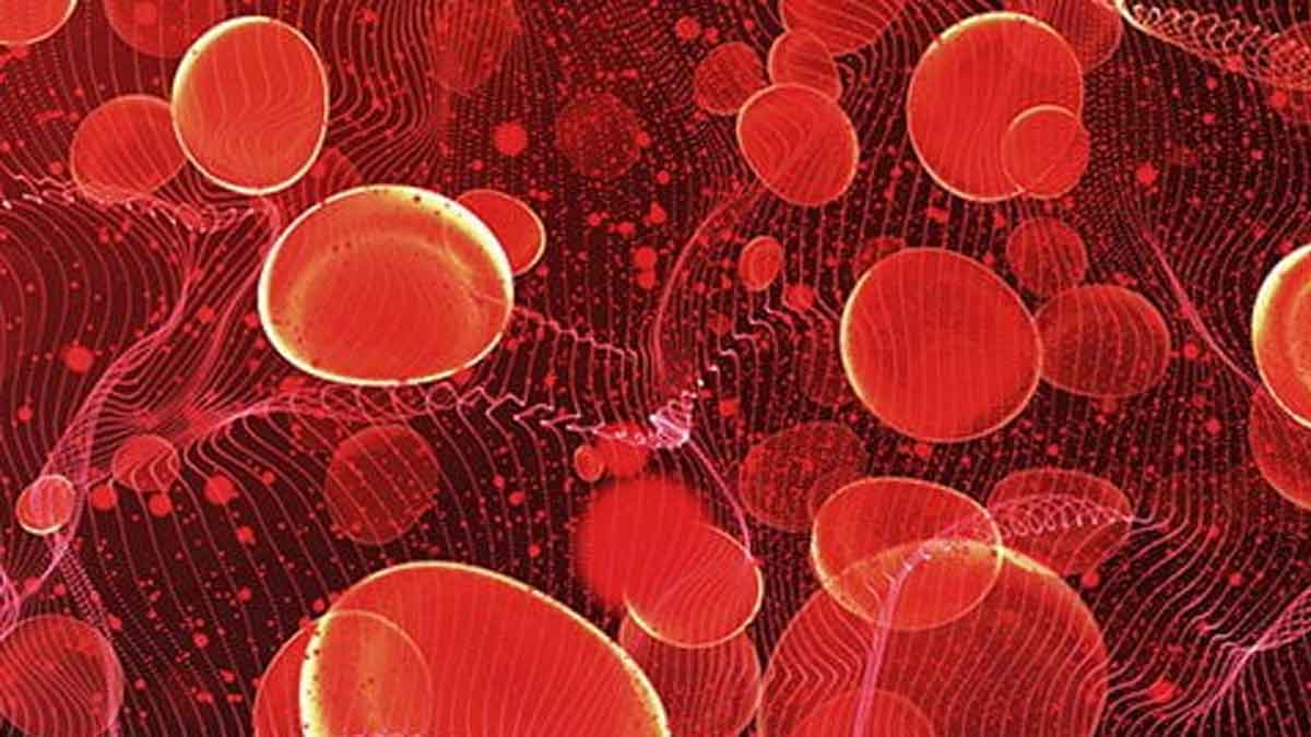 if you have these symptoms then you might have anemia 