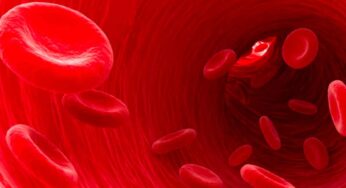Anemia : మ‌హిళ‌ల్లో వ‌చ్చే ర‌క్త‌హీన‌త స‌మ‌స్య‌.. కార‌ణాలు, తీసుకోవాల్సిన ఆహారాలు..
