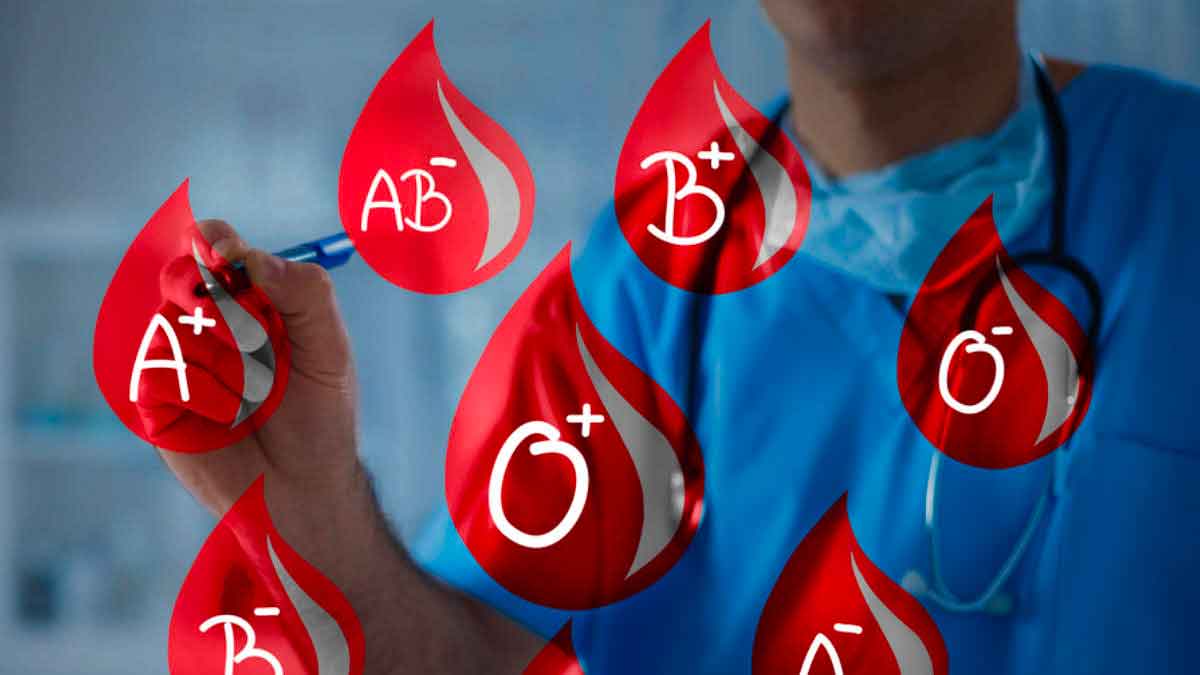 foods according to blood groups 